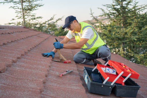 Best Roof Gutter Cleaning  in Mims, FL