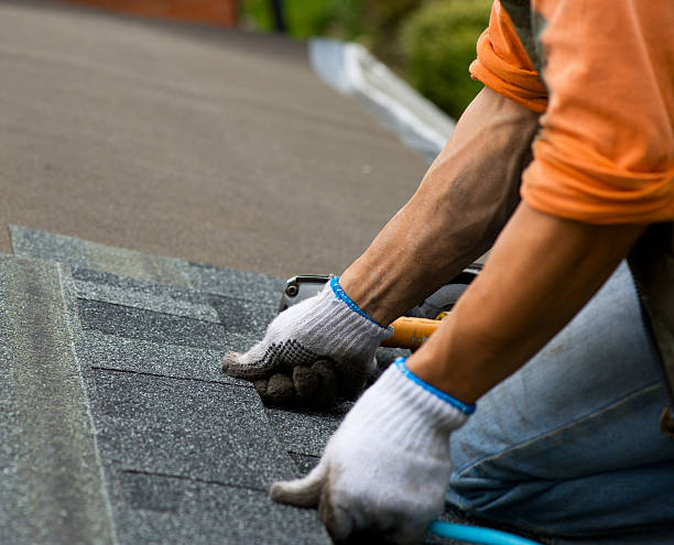 Best Shingle Roofing Installation  in Mims, FL